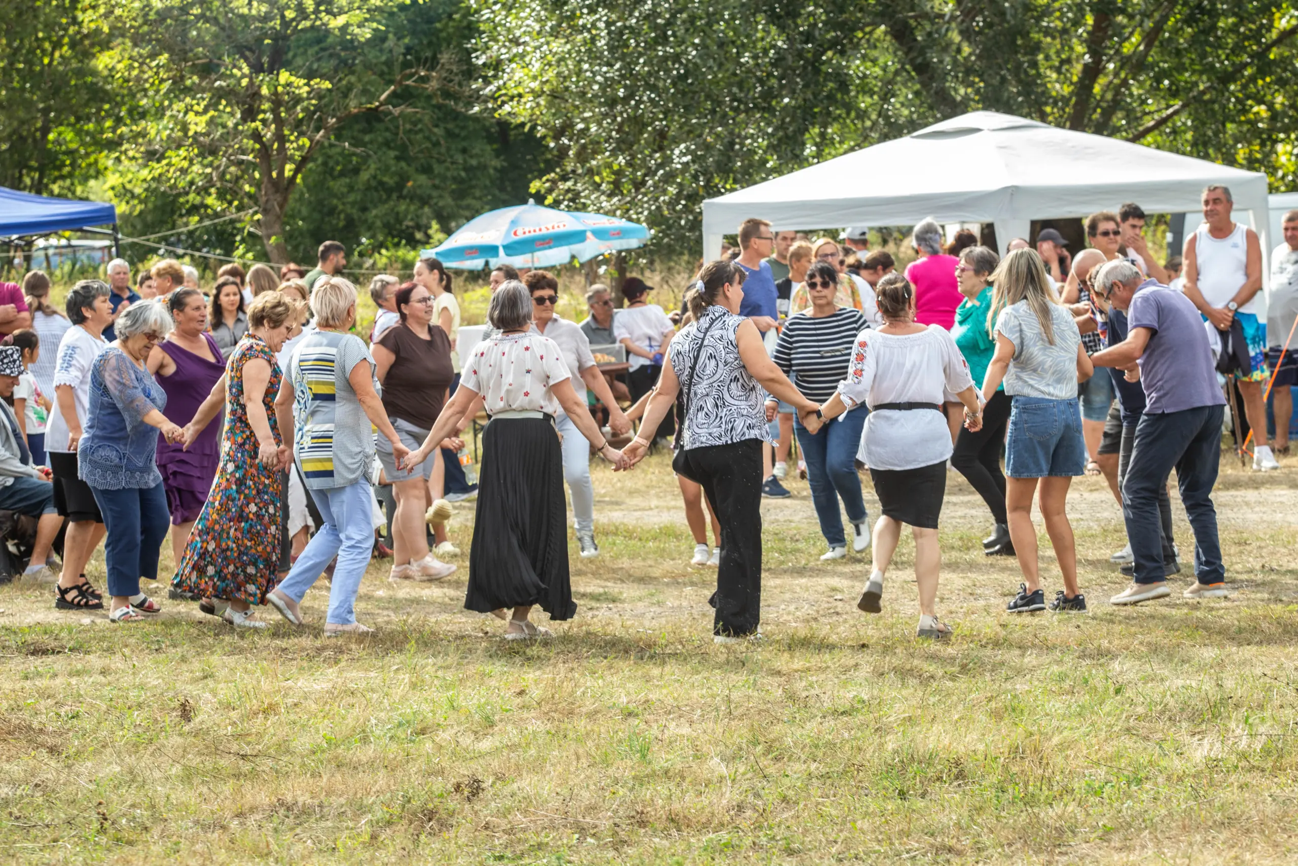Festivalul Plăcintelor Oituz (22)